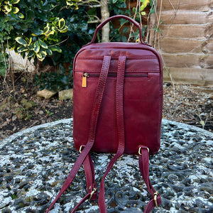 Burgundy Twin Zip Top Leather 'Harriet' Backpack (back)