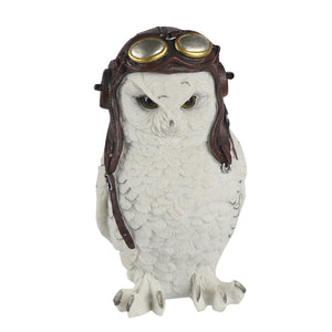 Wise Pilot Owl