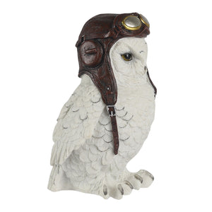 Wise Pilot Owl